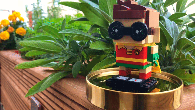 Sidekick UX - Figure of Robin, Batmans Sidekick